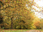 Arboretum Poortbulten